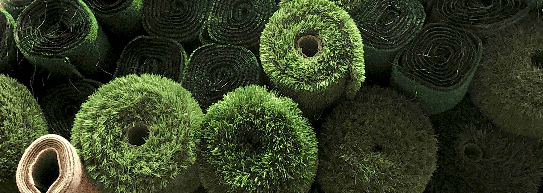 Suni çim grass